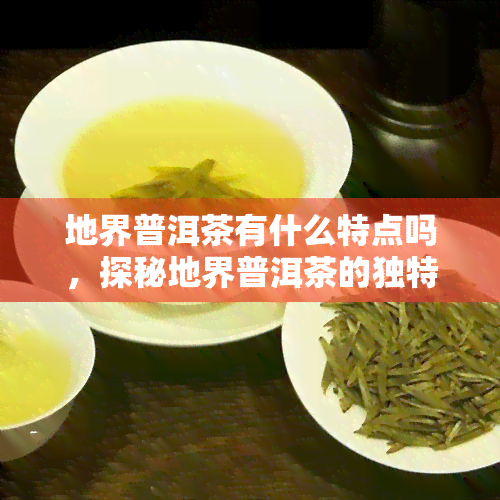 地界普洱茶有什么特点吗，探秘地界普洱茶的独特魅力：特点解析