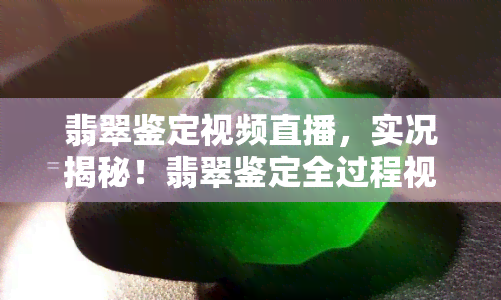 翡翠鉴定视频直播，实况揭秘！翡翠鉴定全过程视频直播，带你深入了解翡翠的世界