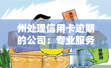 州处理信用卡逾期的公司：专业服务一览