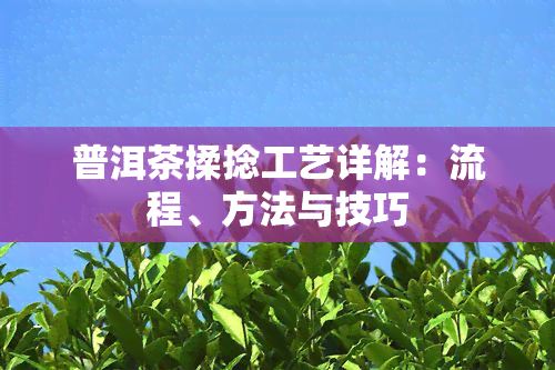 普洱茶揉捻工艺详解：流程、方法与技巧