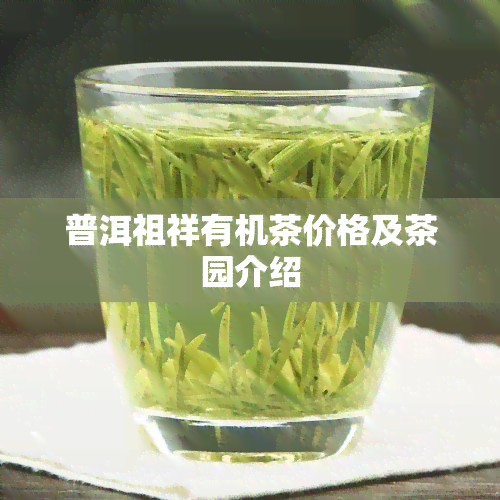 普洱祖祥有机茶价格及茶园介绍