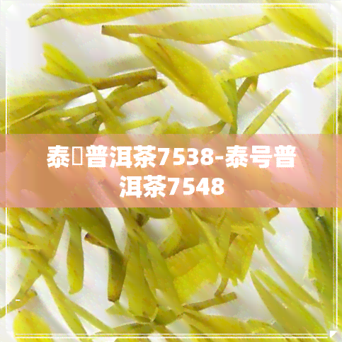 泰號普洱茶7538-泰号普洱茶7548