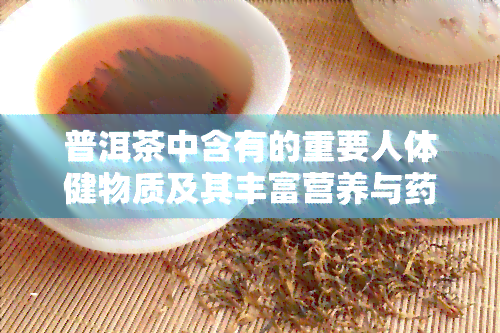 普洱茶中含有的重要人体健物质及其丰富营养与效成分