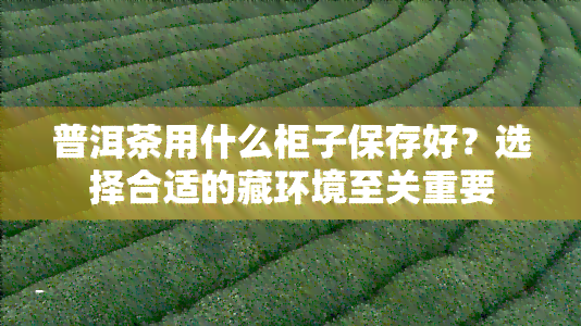 普洱茶用什么柜子保存好？选择合适的藏环境至关重要