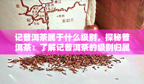 记普洱茶属于什么级别，探秘普洱茶：了解记普洱茶的级别归属