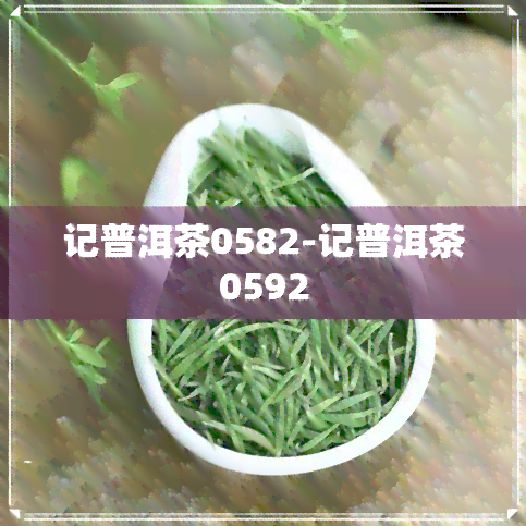 记普洱茶0582-记普洱茶0592