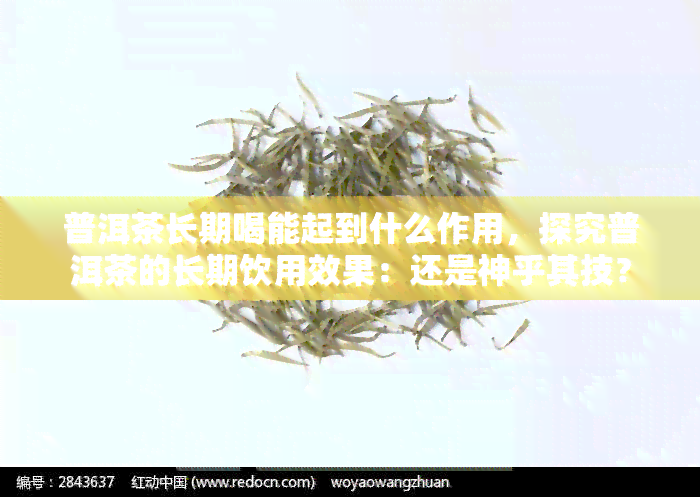 普洱茶长期喝能起到什么作用，探究普洱茶的长期饮用效果：还是神乎其技？