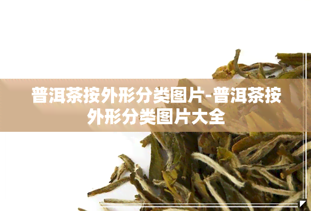 普洱茶按外形分类图片-普洱茶按外形分类图片大全