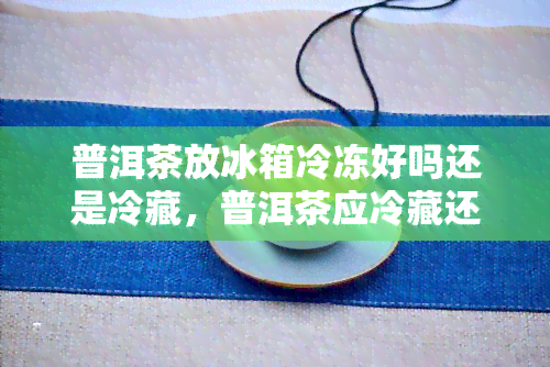 普洱茶放冰箱冷冻好吗还是冷藏，普洱茶应冷藏还是冷冻？专家解析保存方法