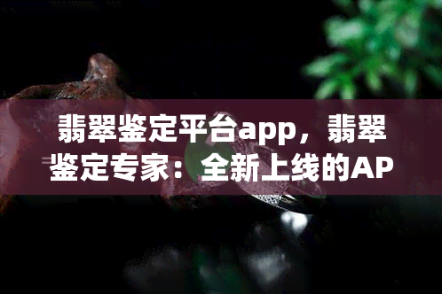 翡翠鉴定平台app，翡翠鉴定专家：全新上线的APP，为您提供准确可靠的鉴定服务！