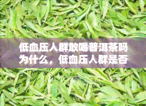 低血压人群敢喝普洱茶吗为什么，低血压人群是否适合饮用普洱茶？原因解析