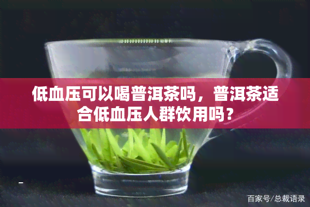 低血压可以喝普洱茶吗，普洱茶适合低血压人群饮用吗？