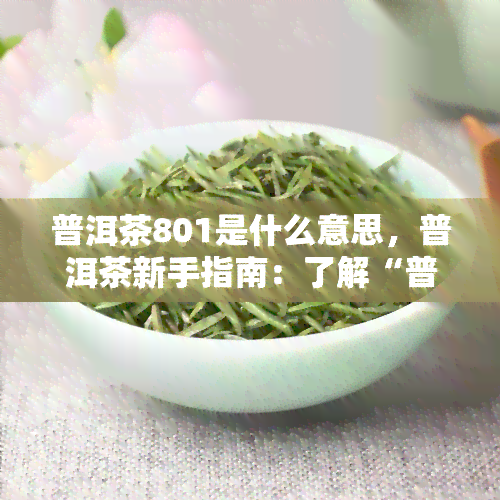 普洱茶801是什么意思，普洱茶新手指南：了解“普洱茶801”的含义