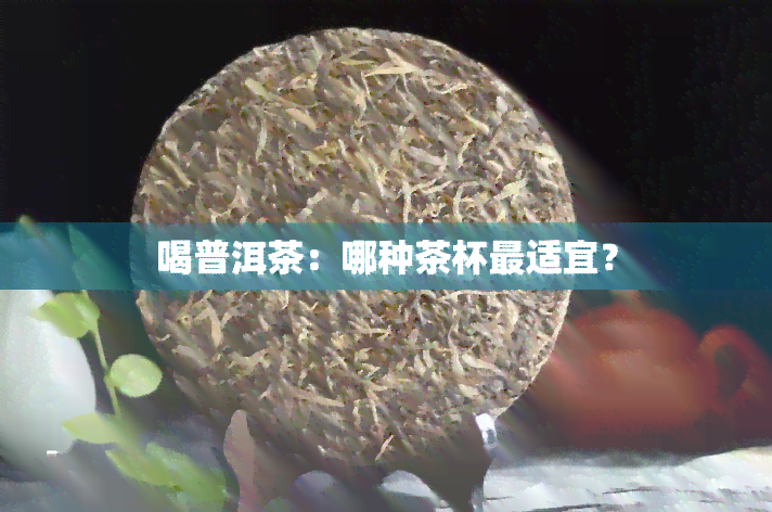 喝普洱茶：哪种茶杯最适宜？