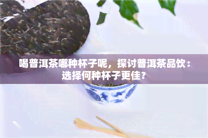 喝普洱茶哪种杯子呢，探讨普洱茶品饮：选择何种杯子更佳？