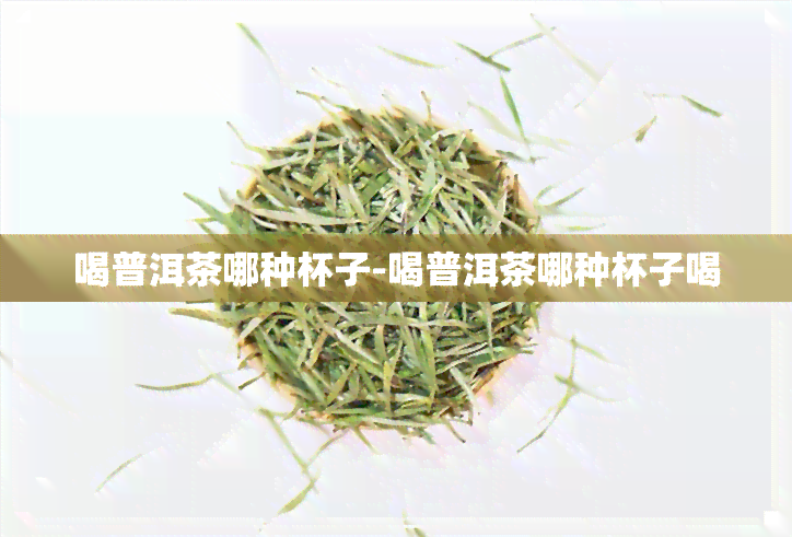 喝普洱茶哪种杯子-喝普洱茶哪种杯子喝