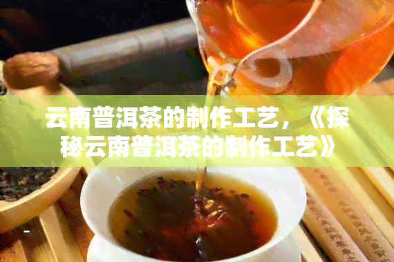 云南普洱茶的制作工艺，《探秘云南普洱茶的制作工艺》