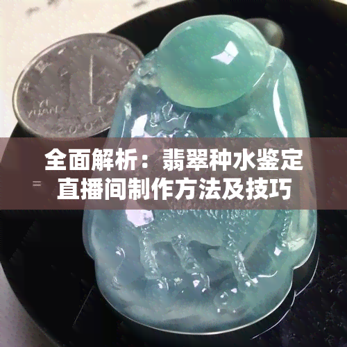 全面解析：翡翠种水鉴定直播间制作方法及技巧