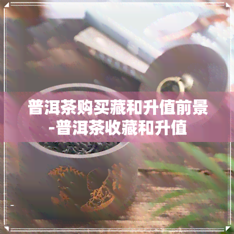 普洱茶购买藏和升值前景-普洱茶收藏和升值