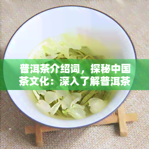 普洱茶介绍词，探秘中国茶文化：深入了解普洱茶的魅力与历