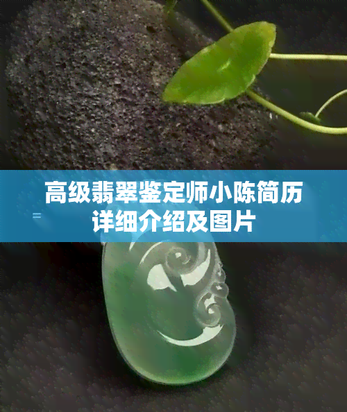 高级翡翠鉴定师小陈简历详细介绍及图片