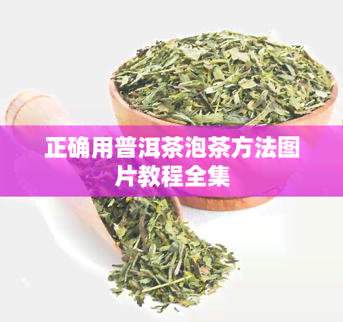 正确用普洱茶泡茶方法图片教程全集