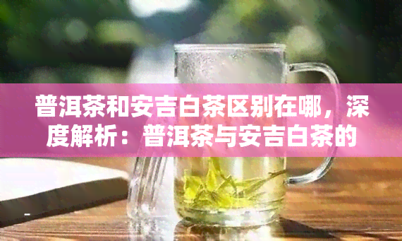 普洱茶和安吉白茶区别在哪，深度解析：普洱茶与安吉白茶的五大区别