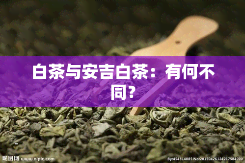 白茶与安吉白茶：有何不同？