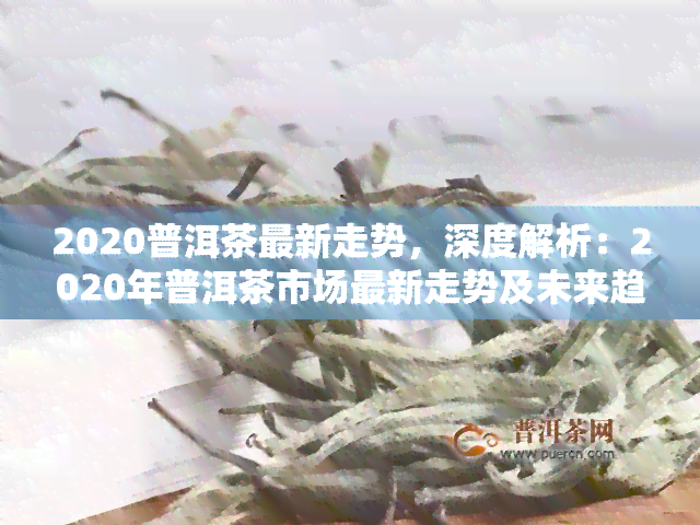 2020普洱茶最新走势，深度解析：2020年普洱茶市场最新走势及未来趋势预测