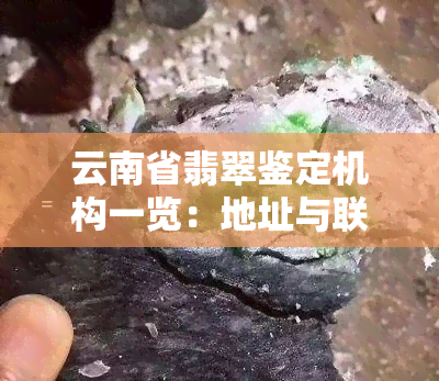 云南省翡翠鉴定机构一览：地址与联系方式