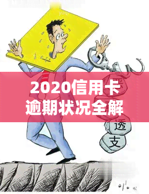 2020信用卡逾期状况全解析：查询方式与解决办法