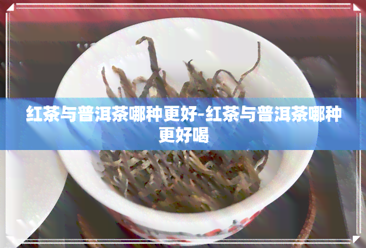 红茶与普洱茶哪种更好-红茶与普洱茶哪种更好喝