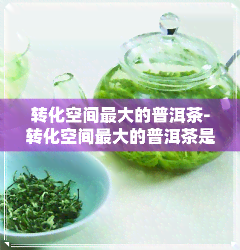 转化空间更大的普洱茶-转化空间更大的普洱茶是什么