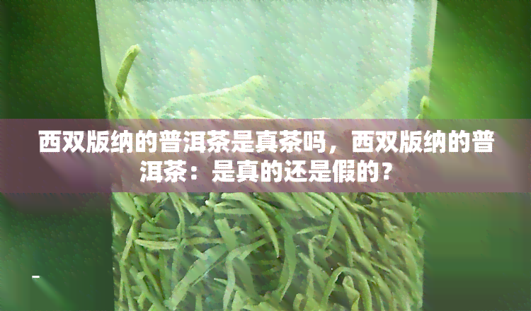 西双版纳的普洱茶是真茶吗，西双版纳的普洱茶：是真的还是假的？