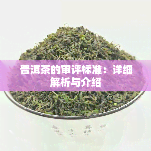 普洱茶的审评标准：详细解析与介绍