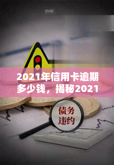 2021年信用卡逾期多少钱，揭秘2021年信用卡逾期金额：你可能需要知道的数字