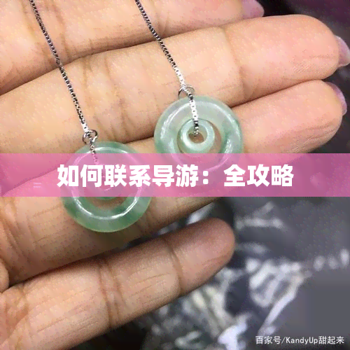 如何联系导游：全攻略