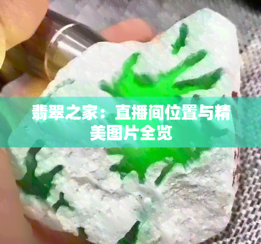 翡翠之家：直播间位置与精美图片全览