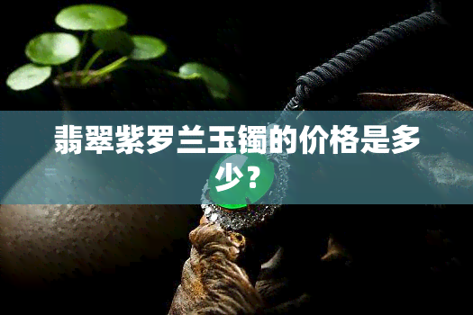 翡翠紫罗兰玉镯的价格是多少？