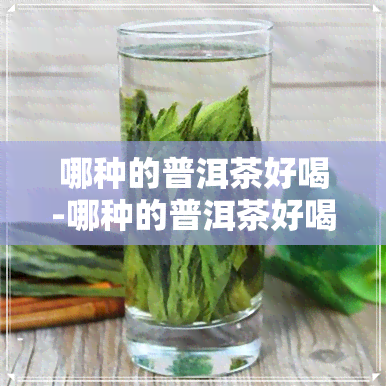 哪种的普洱茶好喝-哪种的普洱茶好喝一点