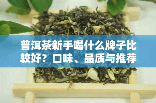 普洱茶新手喝什么牌子比较好？口味、品质与推荐