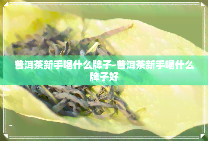 普洱茶新手喝什么牌子-普洱茶新手喝什么牌子好