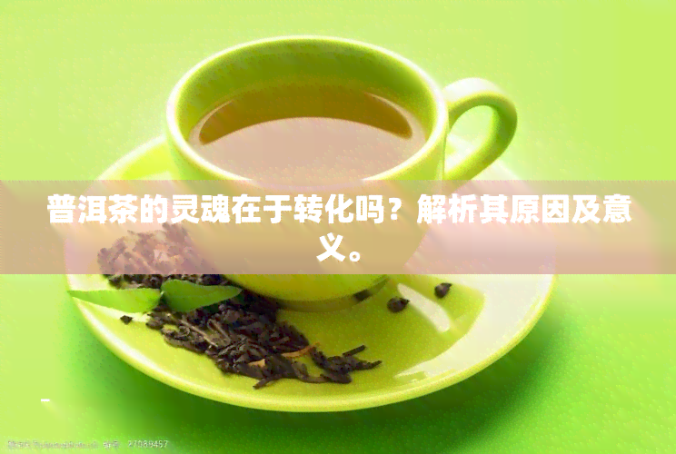 普洱茶的灵魂在于转化吗？解析其原因及意义。