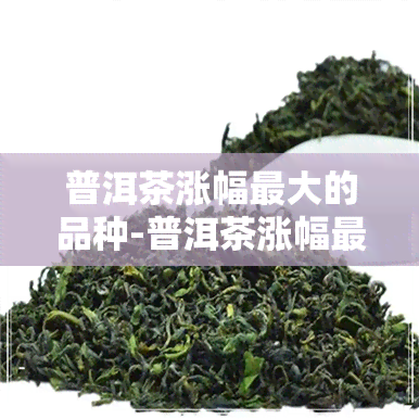 普洱茶涨幅更大的品种-普洱茶涨幅更大的品种是什么