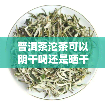 普洱茶沱茶可以阴干吗还是晒干，普洱茶沱茶：应该阴干还是晒干？