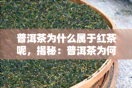 普洱茶为什么属于红茶呢，揭秘：普洱茶为何被归类为红茶？