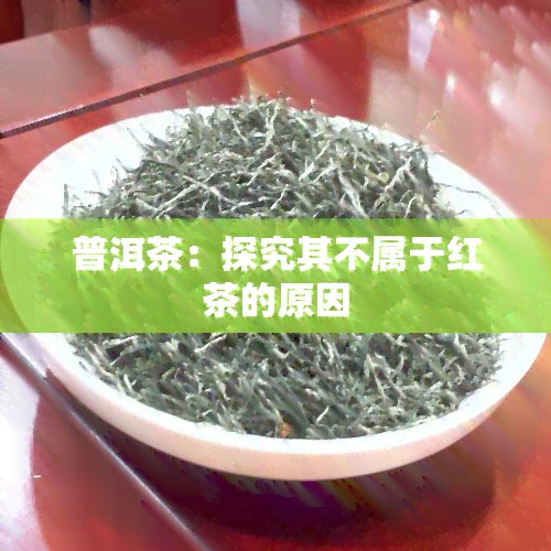 普洱茶：探究其不属于红茶的原因