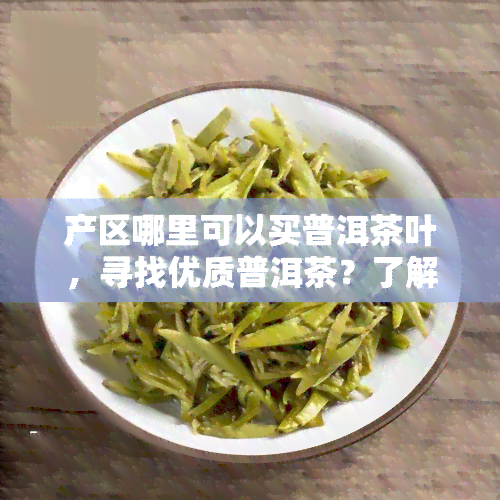 产区哪里可以买普洱茶叶，寻找优质普洱茶？了解普洱茶叶的产地和购买渠道！