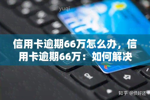 信用卡逾期66万怎么办，信用卡逾期66万：如何解决高额欠款问题？