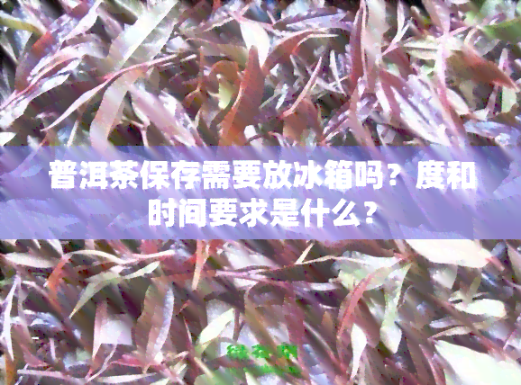 普洱茶保存需要放冰箱吗？度和时间要求是什么？